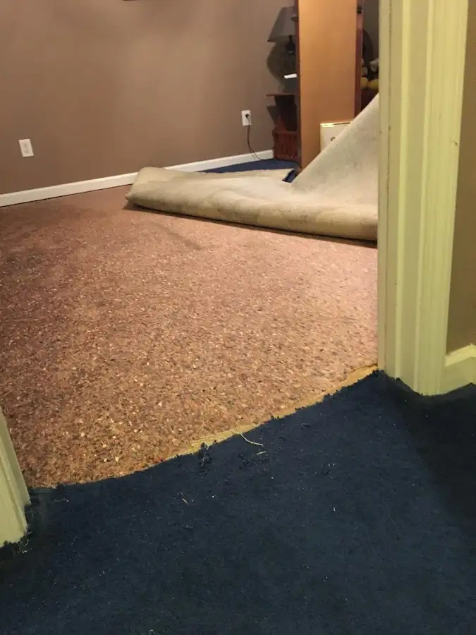 Carpet pad removal revealing water damage during Water Mitigation Services in Hatboro
