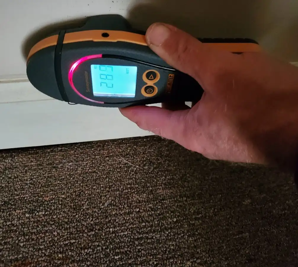Moisture detection at baseboard during Sewage Cleanup & Sanitation in Hatboro
